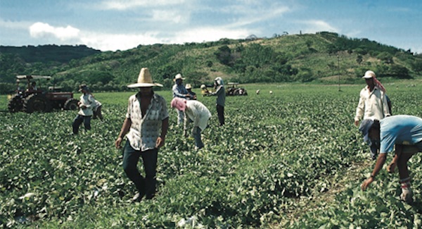Creación de los Centros Agrícolas Regionales