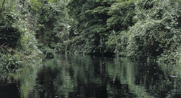 Canalización de Tortuguero